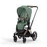 Cybex Priam IV  2  1 Rosegold / Leaf Green -  2