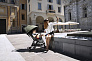 Peg Perego Коляска прогулочная Selfie Plus Mon Amour - фото 12