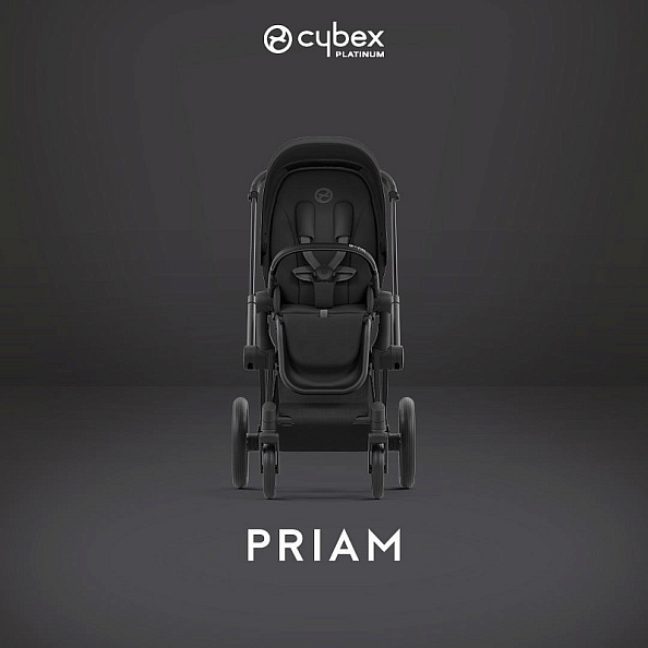 Cybex Priam IV Коляска 2 в 1 Matt Black / Sephia Black - фото  5