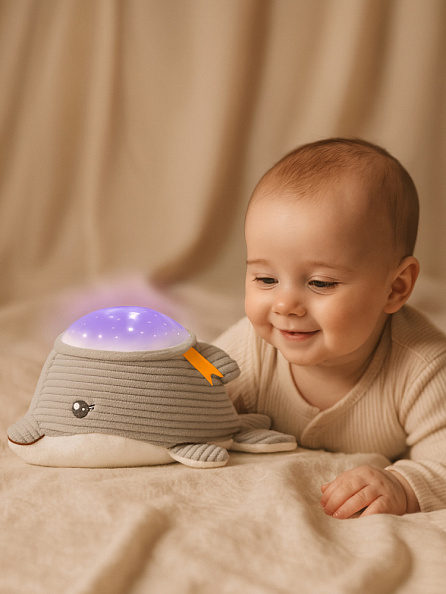 Chicco мягкая игрушка-проектор музыкальная Дельфин - фото  2