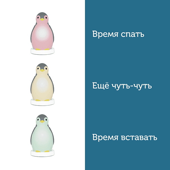 Zazu ++    