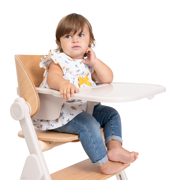 Chicco стульчик 0+ для кормления растущий Meraviglia Fossil - фото  16