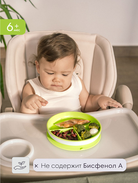 Munchkin тарелка детская на присоске секционная Stay Put™с 6 мес., зеленая - фото  5