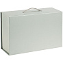 Коробка-бокс для хранения Case, серебристая