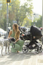 JANE Concord IMatrix ISize+База Isofix Comfy (40-83 см, 0-18 мес) Cold Black - фото 15