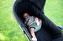 Bumbleride Люлька Bassinet для Era, Indie, Speed / Dusk   - фото 2