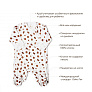 OLANT BABY    Cookies
