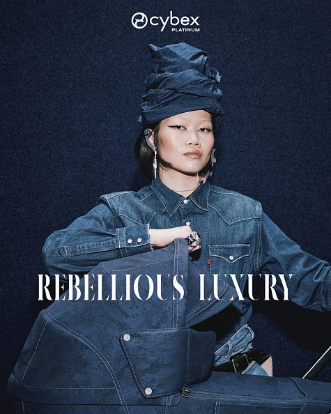 Cybex Priam IV Коляска 2 в 1 FE Rebellious Luxury - фото  19