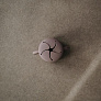 MUSHIE     Cloudy Mauve