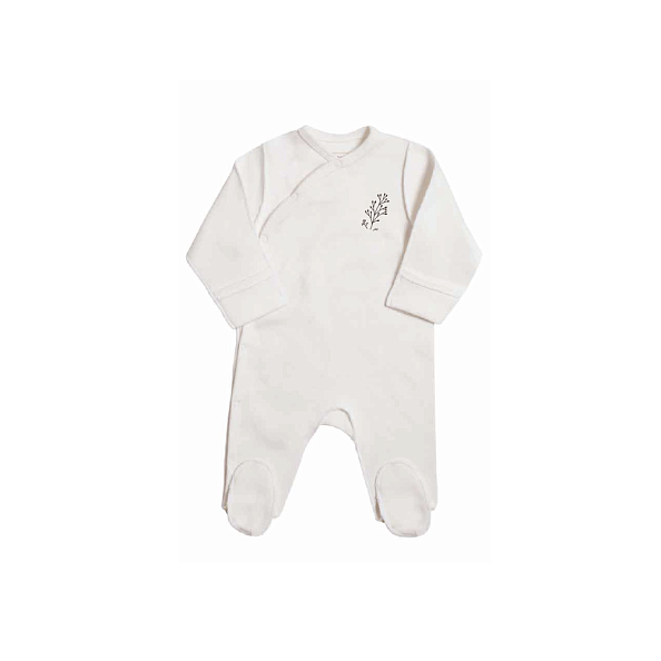 OLANT BABY     5  Winter thymes