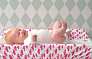 Lodger      Reluxury Rosa