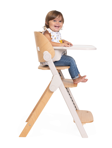Chicco стульчик 0+ для кормления растущий Meraviglia Fossil - фото  15