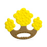 Mombella  Apple Tree, 