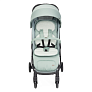 Chicco Коляска прогулочная Taormina Sage - фото 6