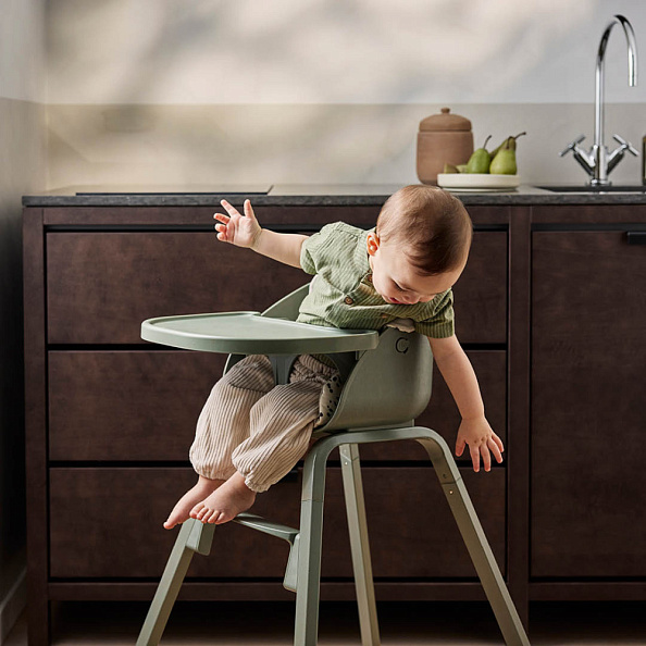 Elodie Grace стульчик + сиденье для новорожденного Hazy Jade+ вкладыш Mineral Green - фото  13