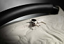 JANE Коляска 3 в 1 Newel Carbon +Micro Pro 2+Koos I-Size Racer Cream Limited Edition