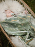 Elodie пустышка от 3 мес.силиконовая - Standen  - фото 4