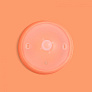 BORRN      3 +  

