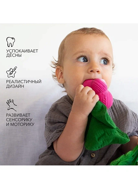 Oli&Carol игрушка-прорезыватель с комфортером Mini DouDou Ramona the Radish - фото  2