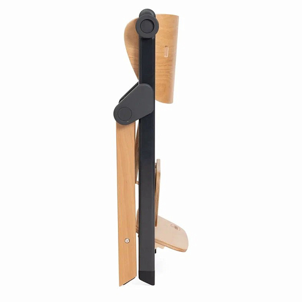 Chicco стульчик 0+ для кормления растущий Meraviglia Ebony - фото  15