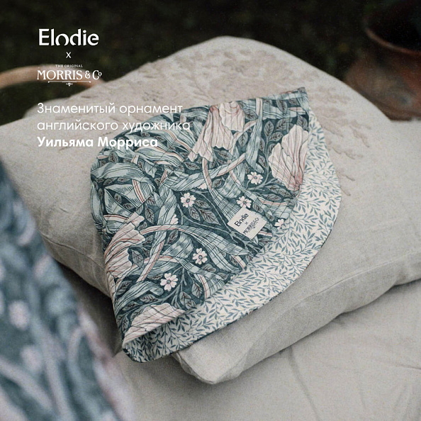 Elodie панама - Pimpernel - фото  6