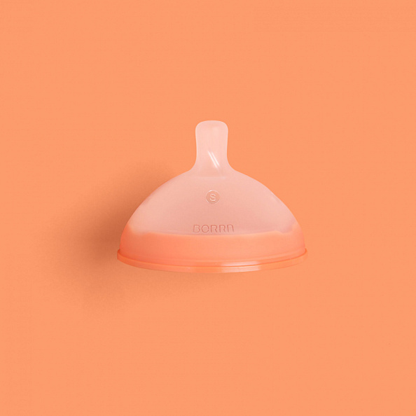 BORRN      3 +  
