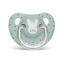 Suavinex пустышка 18 месяцев+ анатомическая силиконовая соска Hello Baby зеленый - фото 1