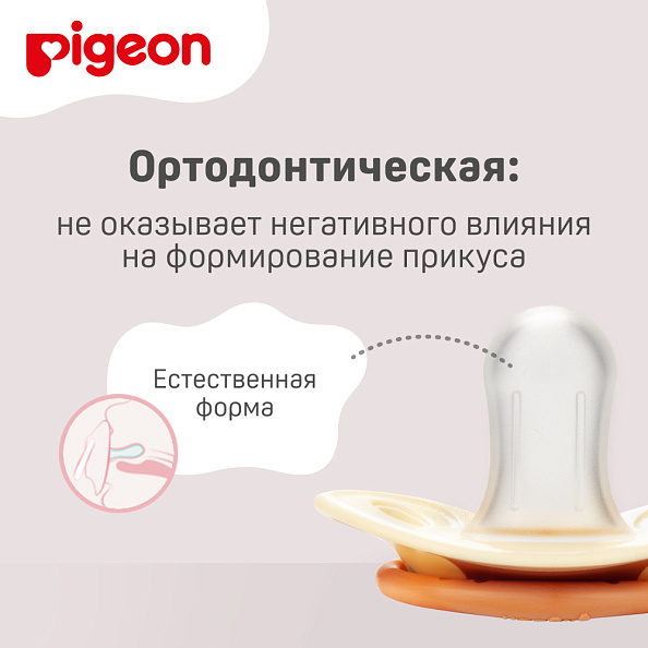 Pigeon FunFriends пустышка &quot;Мишка&quot; 3+ мес. - фото  7